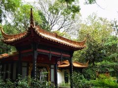 -广州兰圃
