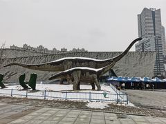 -安徽省地质博物馆