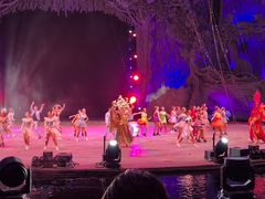 -广州长隆国际大马戏