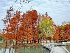 -白塘生态植物园