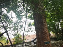 -西园戒幢律寺