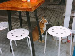 -小梁哥云吞面(黄贝岭店)