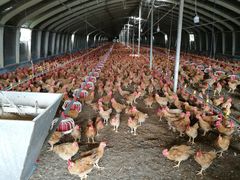 -龙湖东院农庄(乡间小路店)