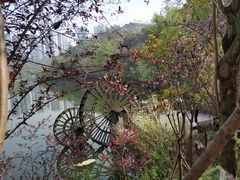 -重庆彩云湖湿地公园