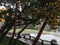 -荔湾湖公园