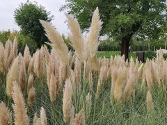 -汉长安城未央宫国家考古遗址公园