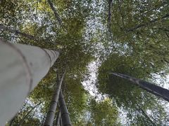 -苏州环秀晓筑养生度假村