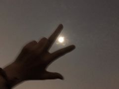 -上海御花园酒店