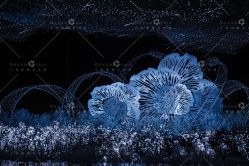 点击看大图 -三色锦婚礼定制