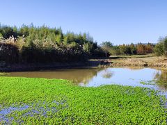 -良渚古城遗址公园