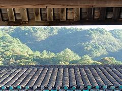 -雁南飞茶田景区