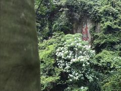 -太和古洞