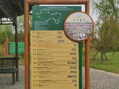 -泗洪洪泽湖湿地景区