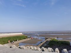 -碧海金沙