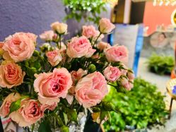 -花隐·美芙炫海菲秀皮肤管理中心