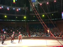 -俄罗斯国家大马戏团