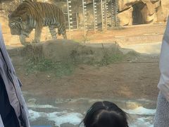 -荆州中山公园动物园