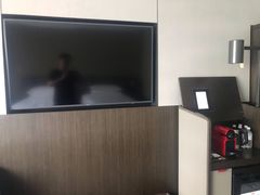 -新加坡瑞士史丹福酒店