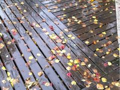 梦清园-苏州河梦清园环保主题公园