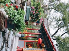 -白家大院·王府宫廷菜(苏州街店)