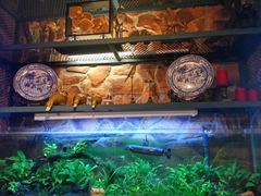 景观位-上沟咱家饭店(黄河路店)