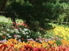 -长春公园(普阳街道)