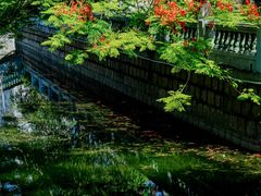 -集美学村