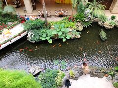 -白天鹅宾馆-宏图府餐厅