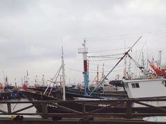 -沈家门渔港
