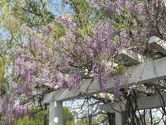-莲花池公园