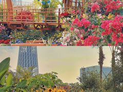 -海心沙亚运公园