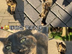 -静安公园(静安寺街道)
