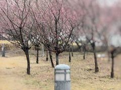 -白塘生态植物园