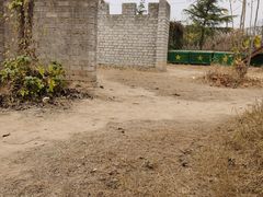 -樱桃部落培训基地