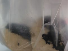 -源香斋糕点(天津店)