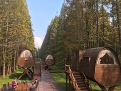 -黄海国家森林公园