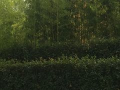 -尼莫儿童美术(三阳路融科天城校区)