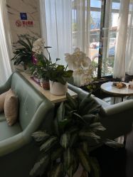 -比华利美容医院