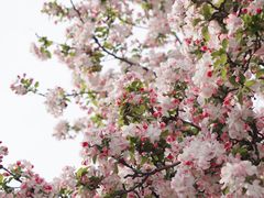 -元大都城垣遗址公园