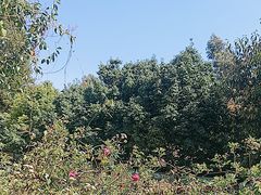 -云南野生动物园