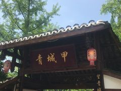 -青城甲(青城山店)
