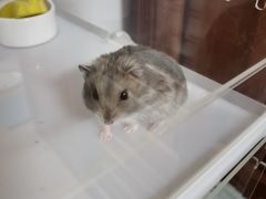 -龙猫仔乐园(惠福东路店)