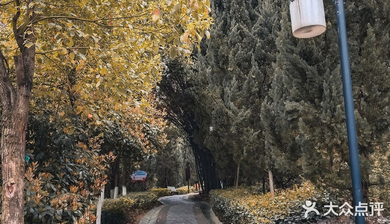 🌸春暖花开·游园怀旧，铭记历史