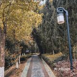 🌸春暖花开·游园怀旧，铭记历史