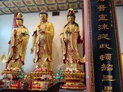 -上海东林寺(金山区)