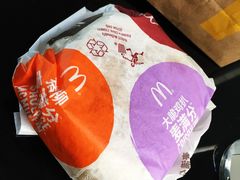 -麦当劳(花园北路店)