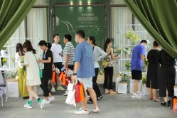-金禧婚礼定制