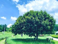 -红花山公园