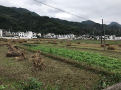 -绩溪龙川景区