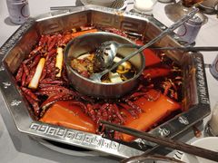 -蜀九香火锅(九眼桥店)